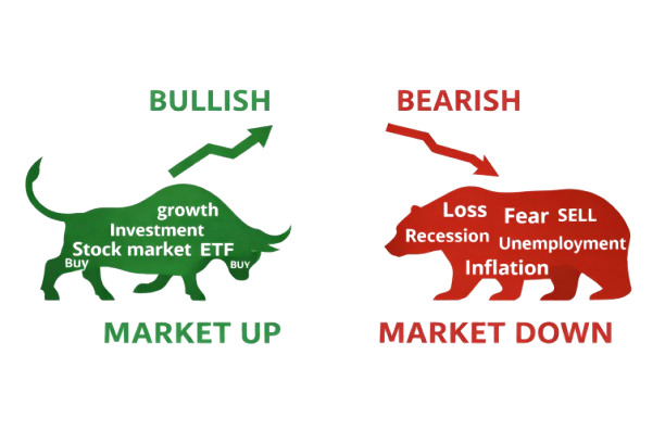 Bull vs Bear Google Trends word cloud